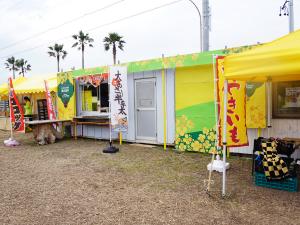 อิราโกะ นาโนะฮานะ การ์เด้น (เทศกาลทุ่งมัสตาร์ด)