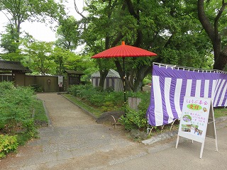 鶴舞公園　花卉節