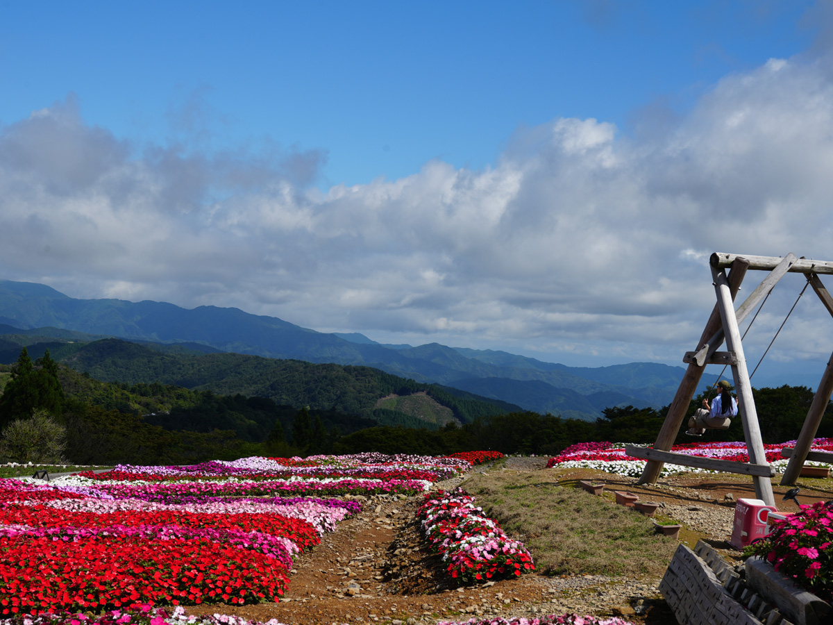 ที่ราบสูงภูเขาชาอุสึ