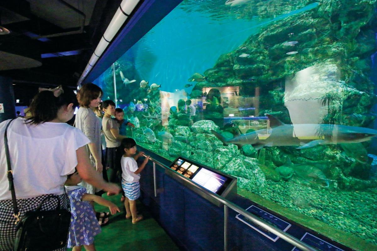 碧南海浜水族館