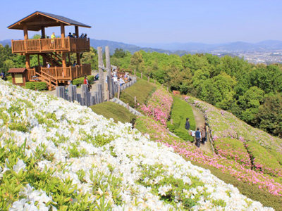東三河故鄉公園