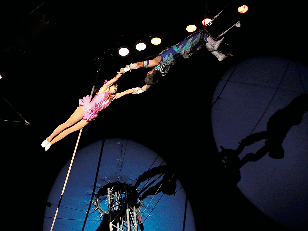 木下大サーカス