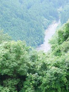 ปราสาทดามิเนะ