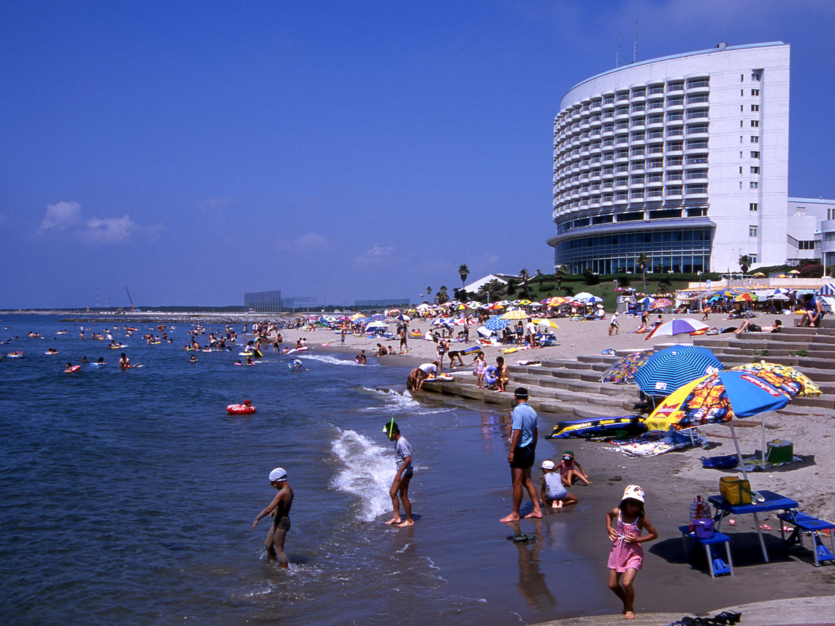 椰子海滩伊良湖