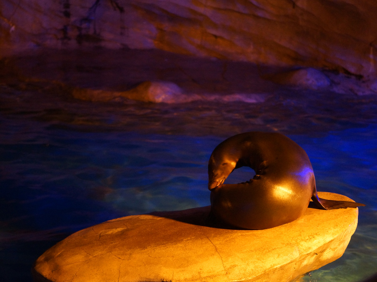 東山動植物園　ナイトZOO＆GARDEN