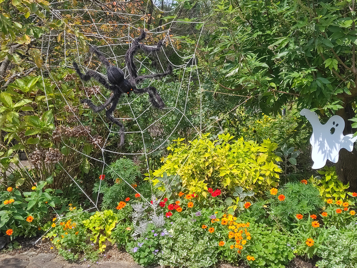 モリコロハロウィン