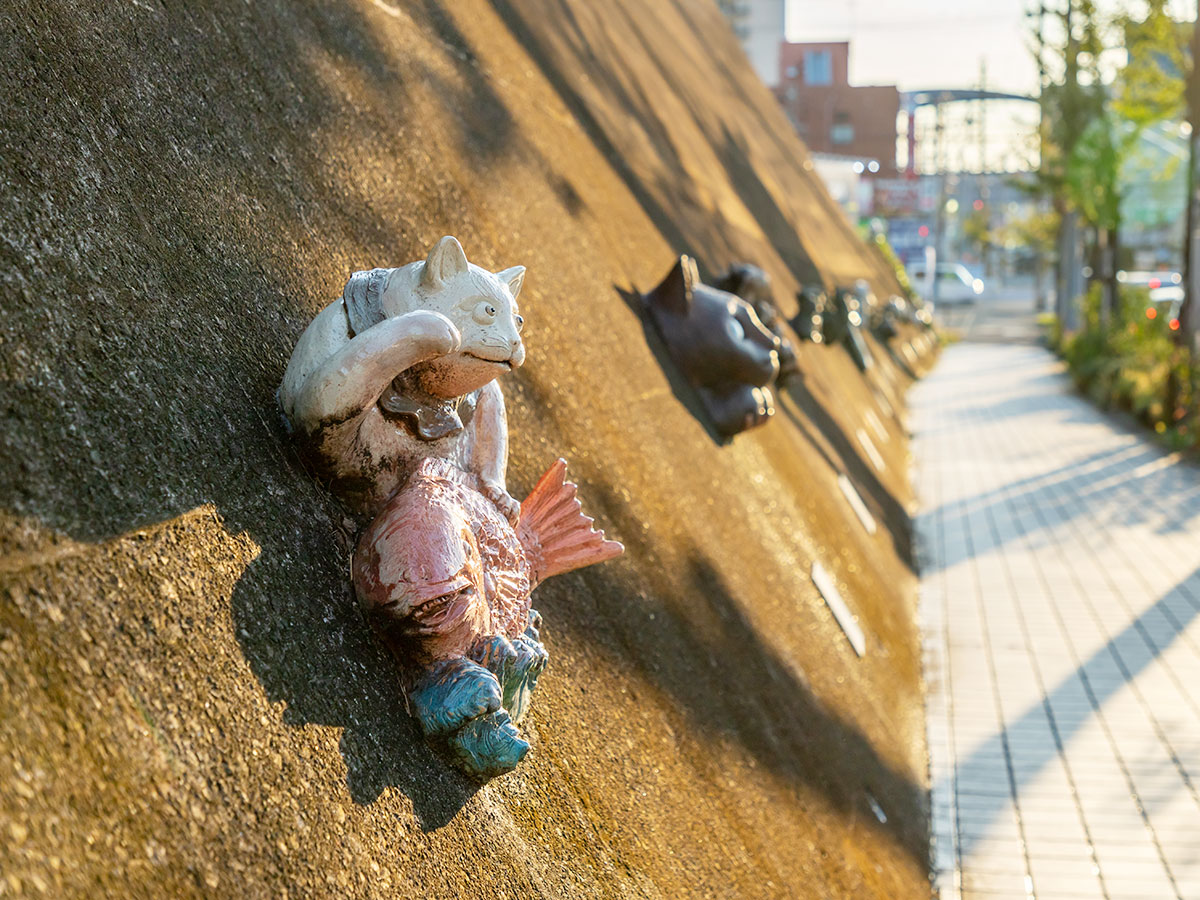 지킴이 고양이 '도코냥'