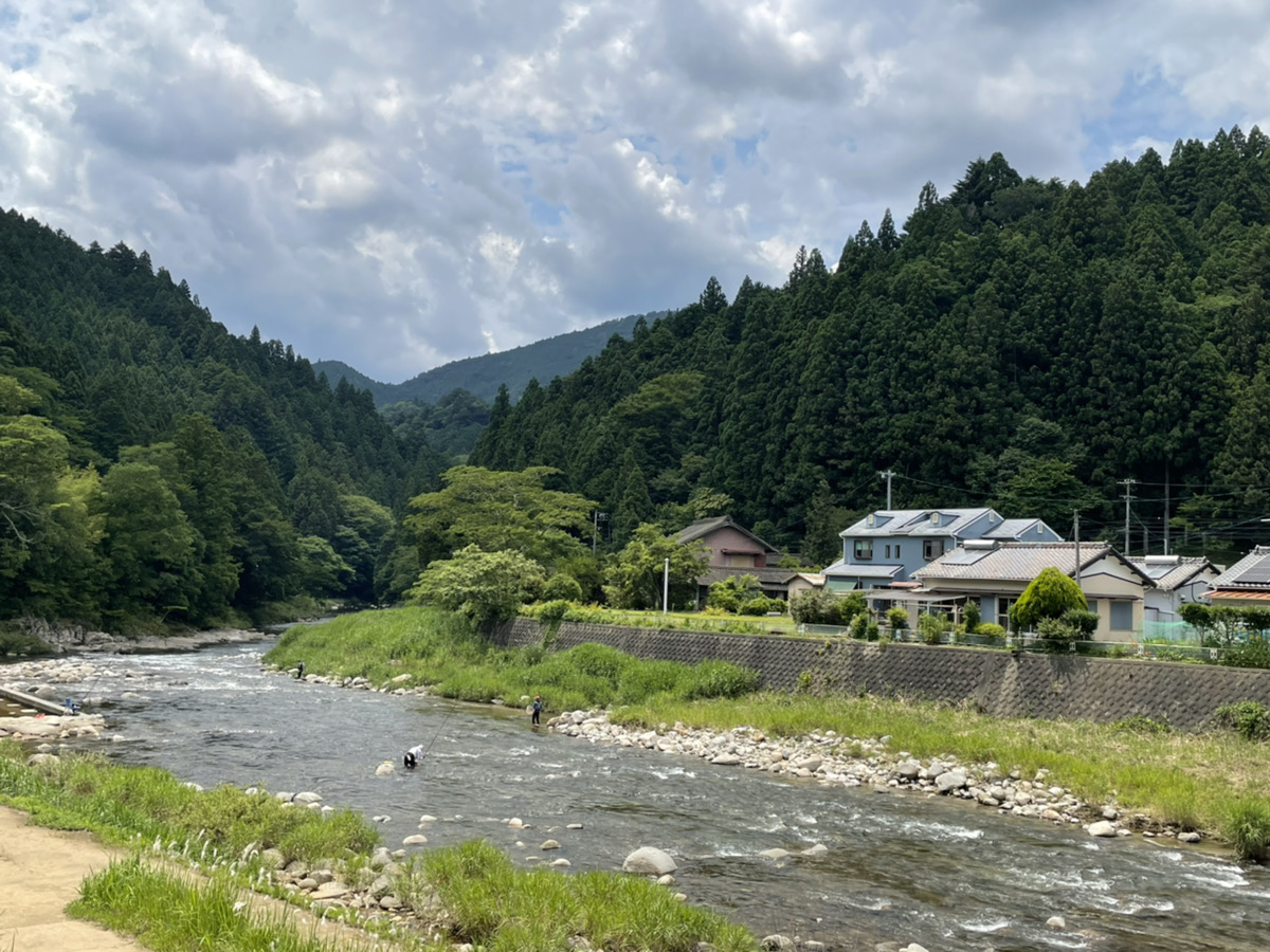寒狭川上流　あゆ釣り解禁