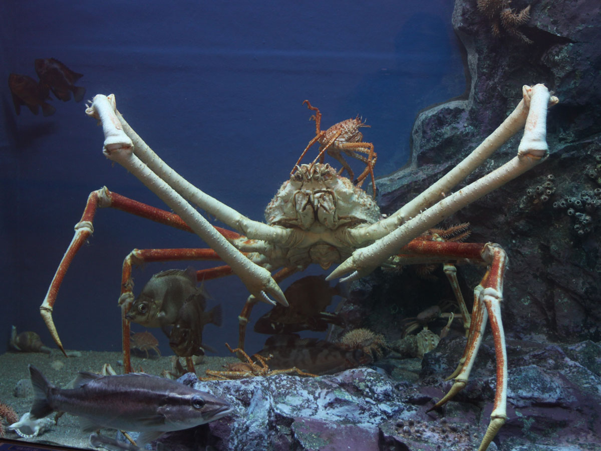 다케시마 수족관