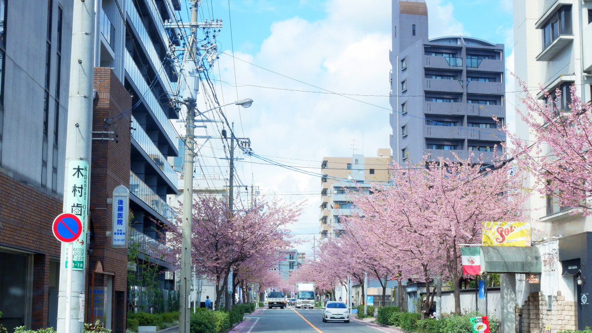 문화의 길 후타바관