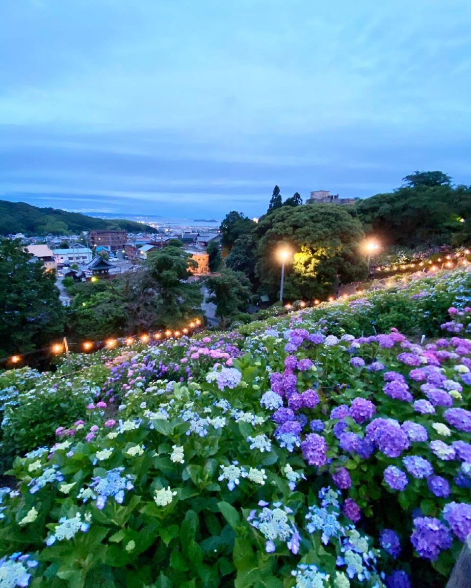Katahara Onsen Hot Spring Hydrangea Festival