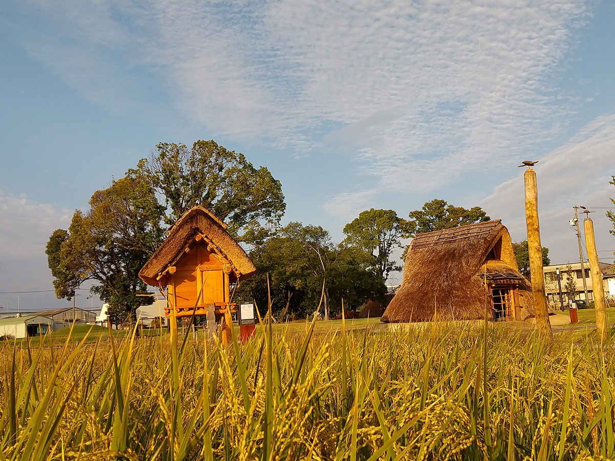 あいち朝日遺跡ミュージアム