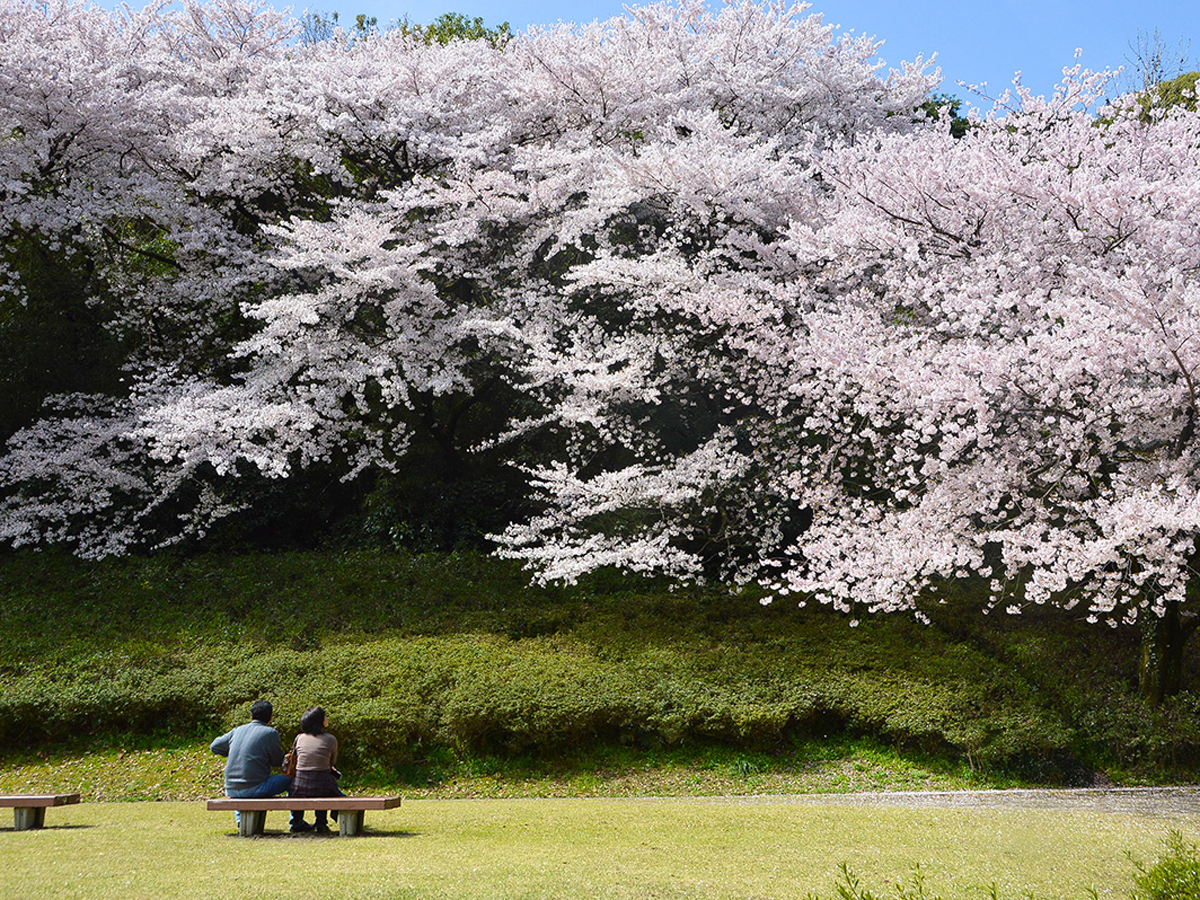 Komakiyama Castle