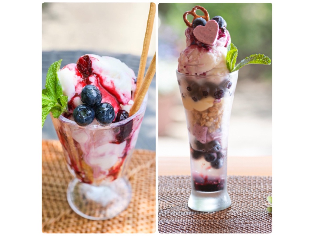 藍莓農園岡崎　摘藍莓