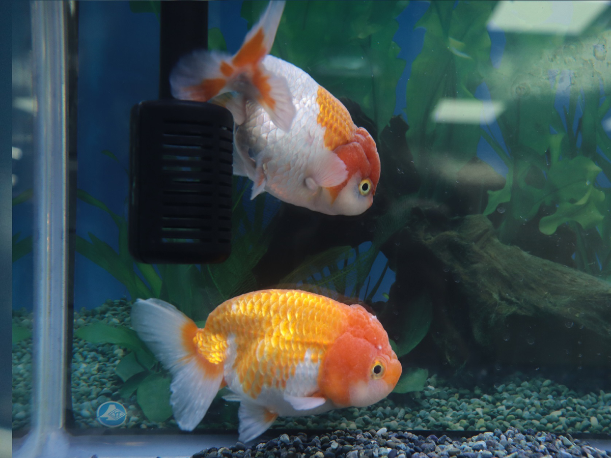 弥富市歴史民俗資料館