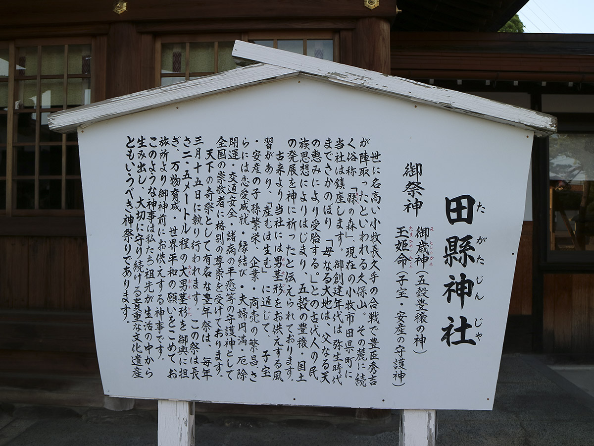 田县神社丰年祭