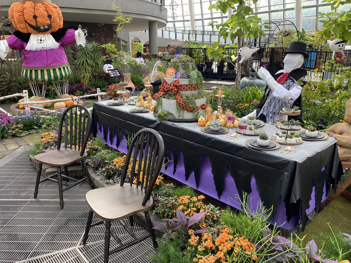 デンパーク　秋穫祭