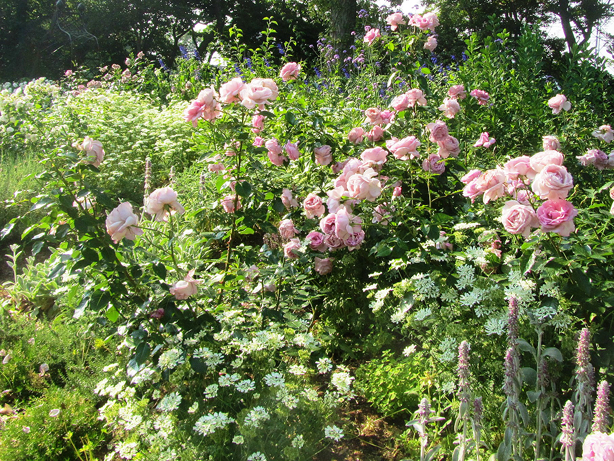 Toyohashi Zoo & Botanical Park (Non Hoi Park)