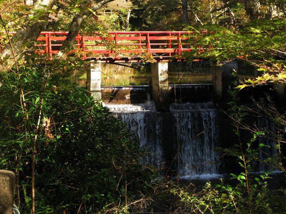 爱知高原国定公园・岩屋堂公园