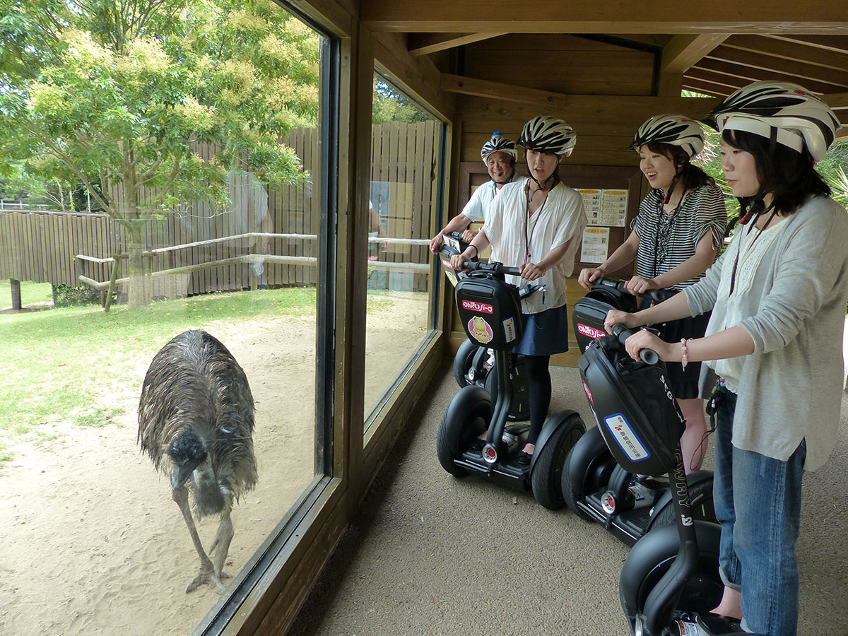 Toyohashi Zoo & Botanical Park (Non Hoi Park)
