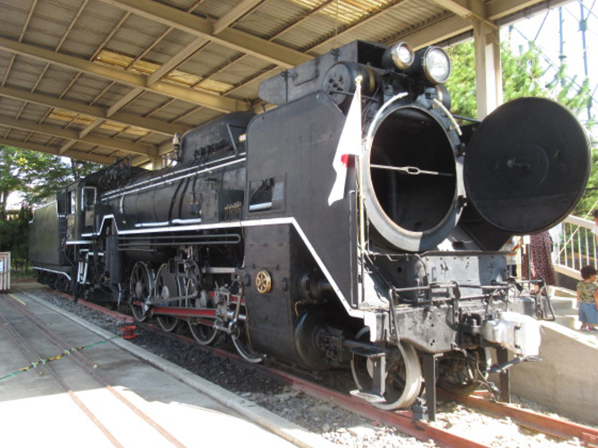 秋の南公園まつり