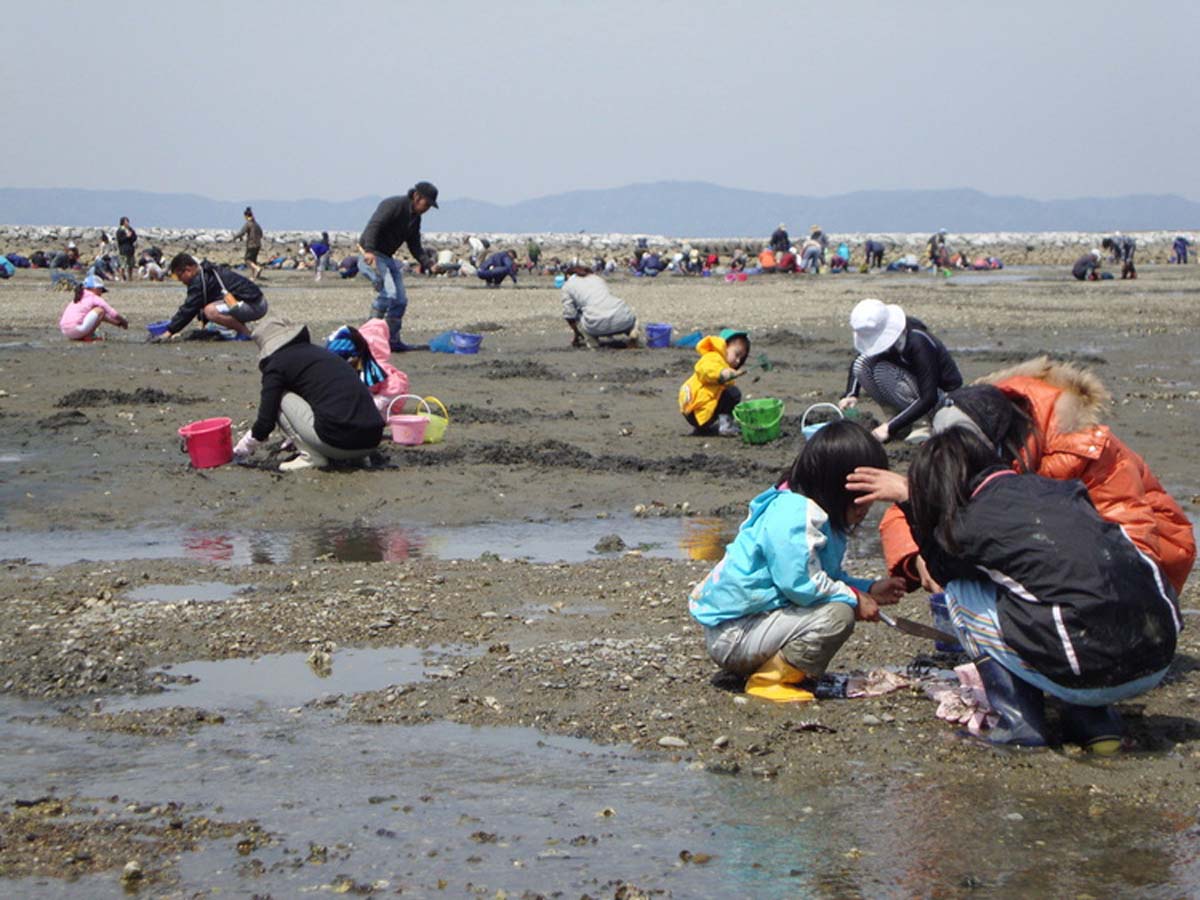 白谷海岸　潮干狩り