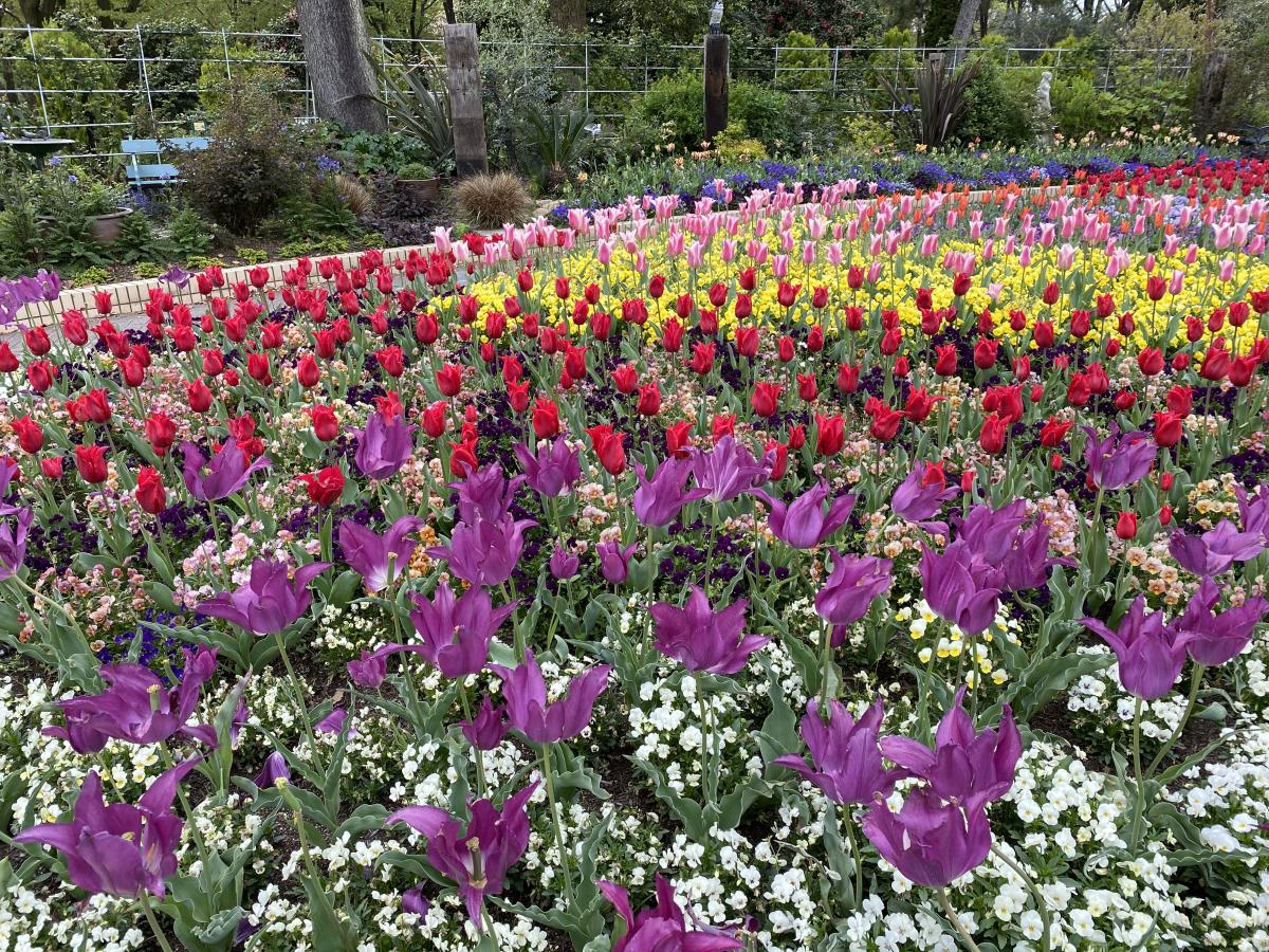 名城公園の花壇