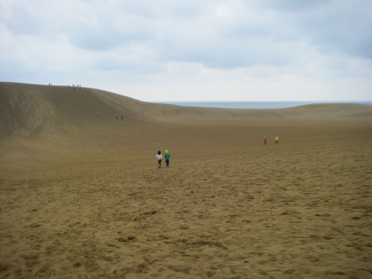豊橋市自然史博物館
