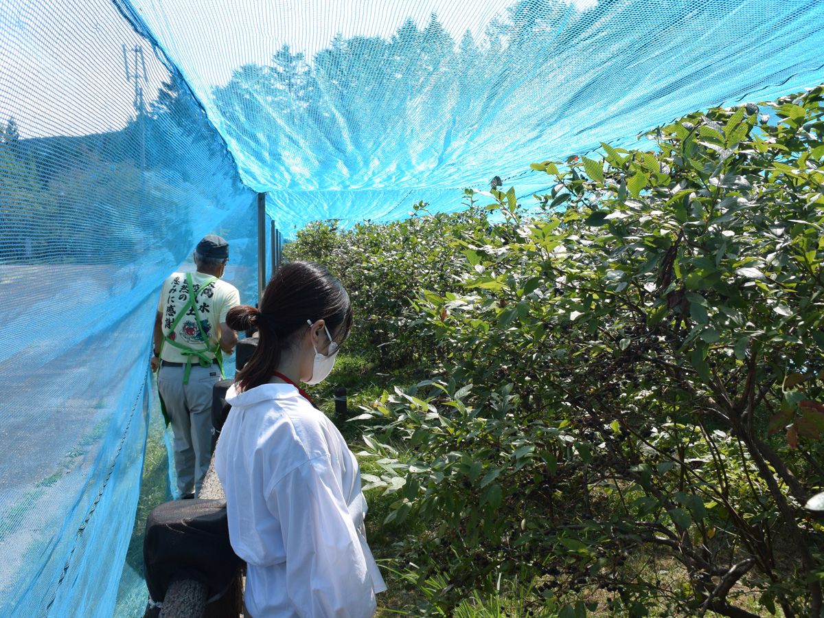 グリーンステージ花の木　山の大自然、夏休みは川遊びで大満喫！