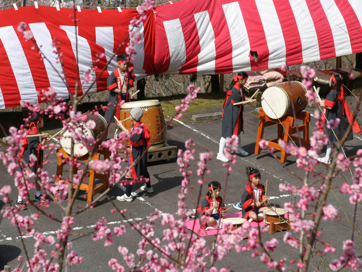 筑波之乡梅花节