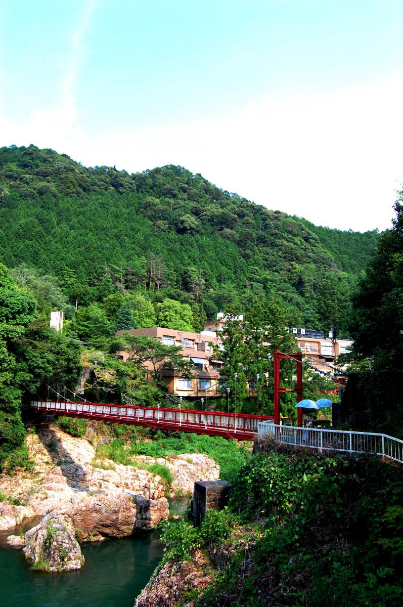 湯谷温泉と「しし鍋」