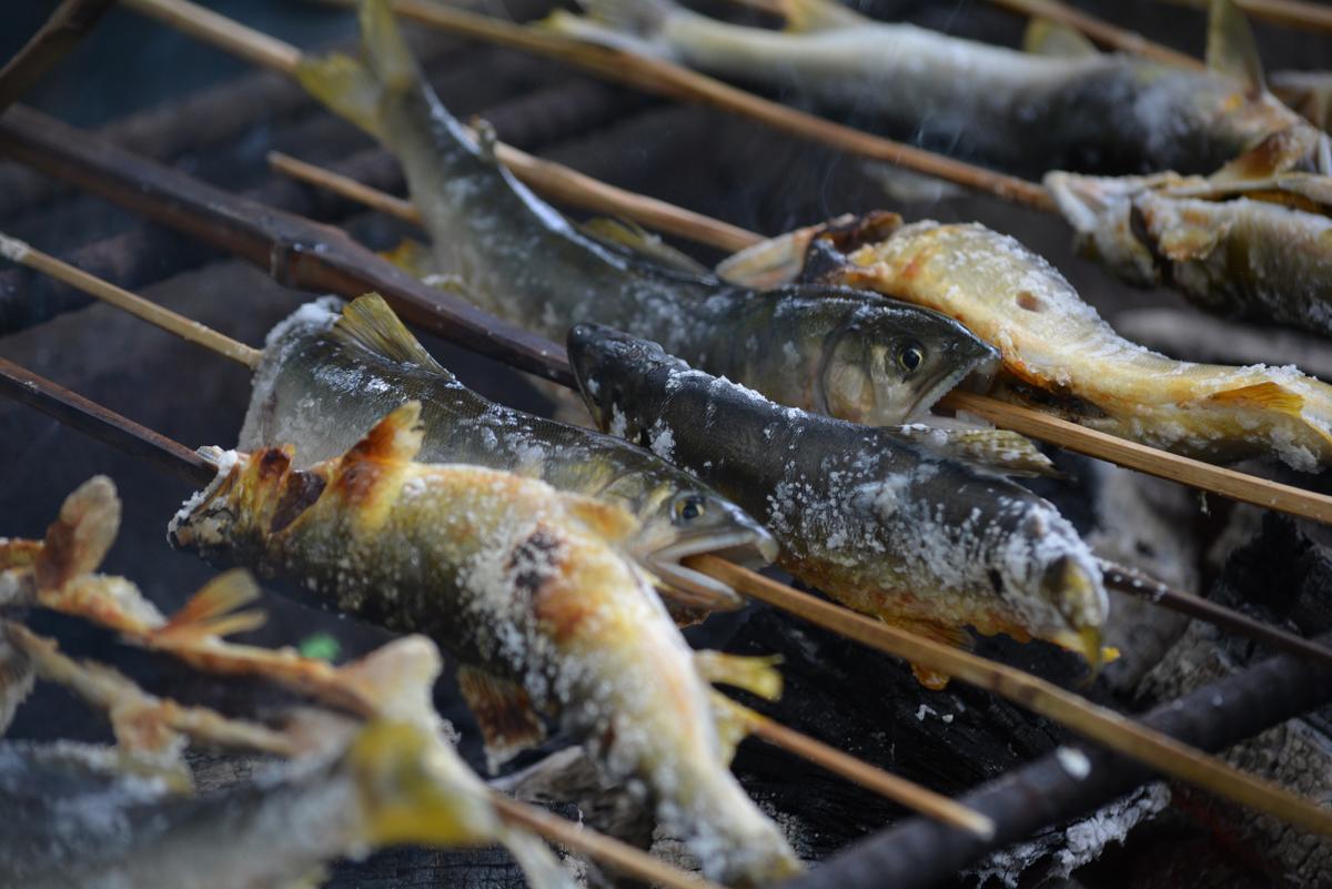 東栄町 日本一の鮎