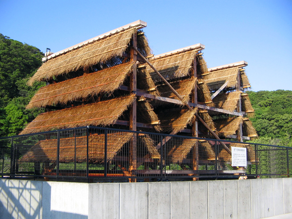 Food and Health Center