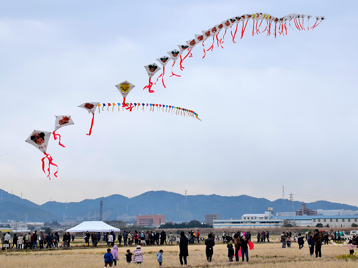 新春自由凧揚げ