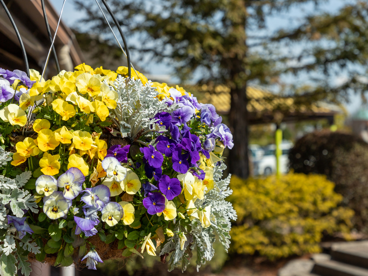 Anjo Industry Culture Park Denpark