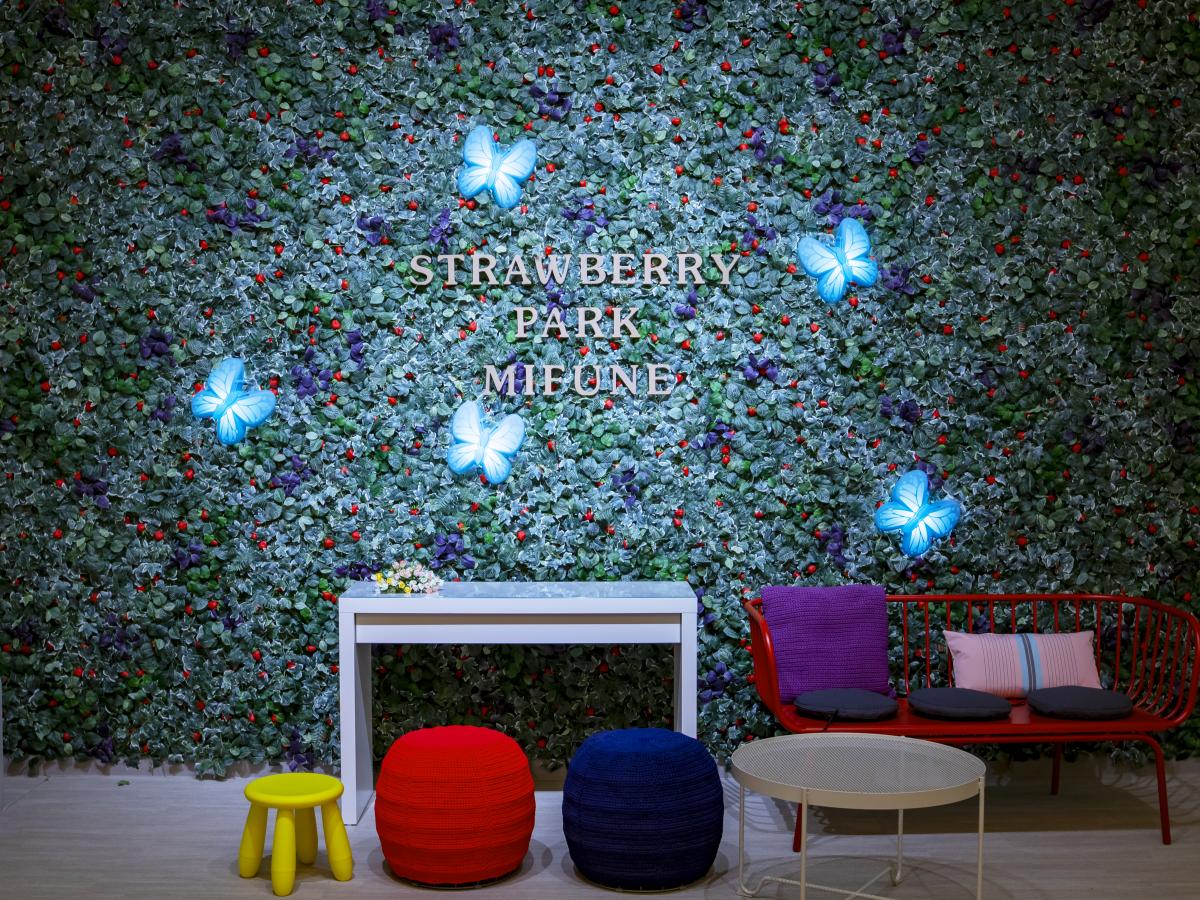 ストロベリーパークみふね　春の感謝祭