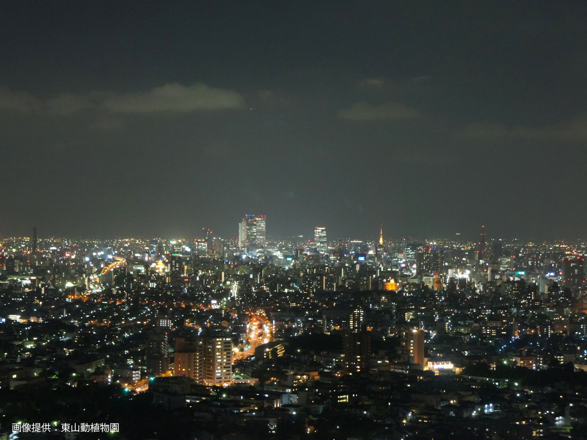 東山スカイタワー