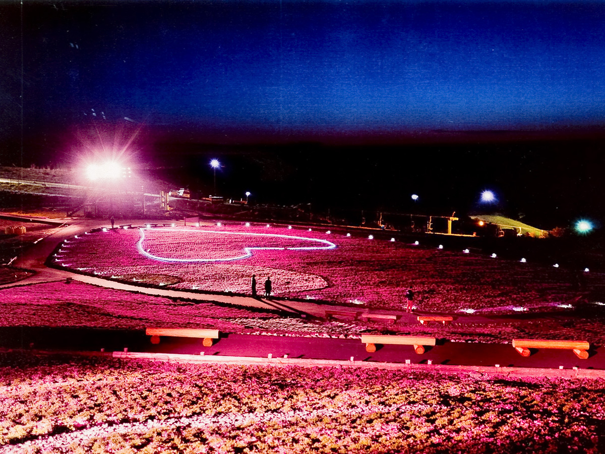 차우스야마 고원 꽃잔디 축제