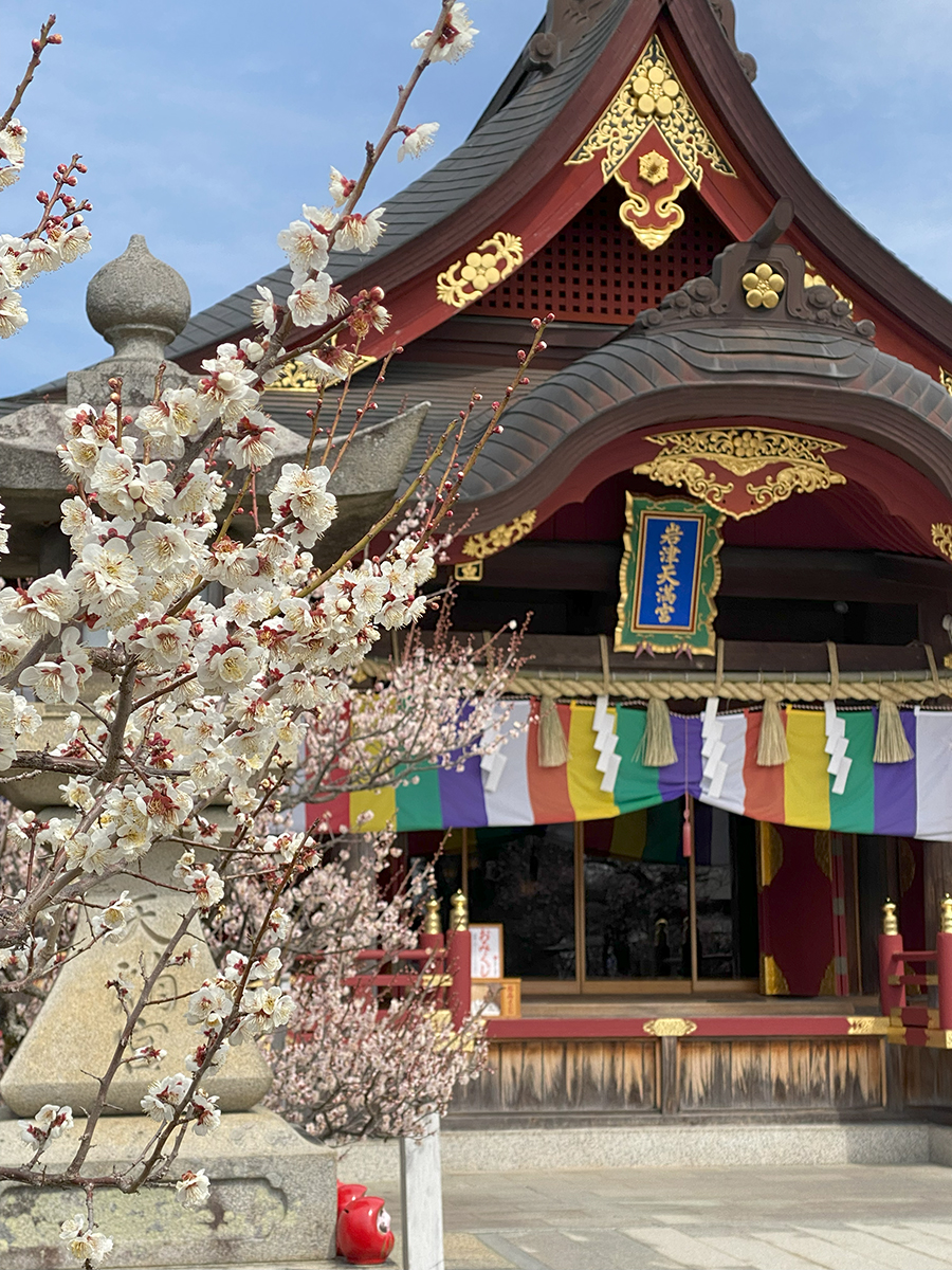 이와즈텐만구 매화 축제