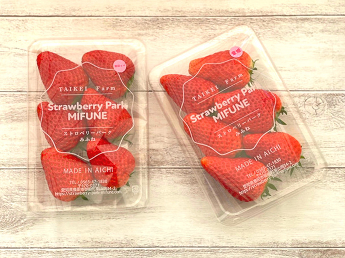 ストロベリーパークみふね　春の感謝祭