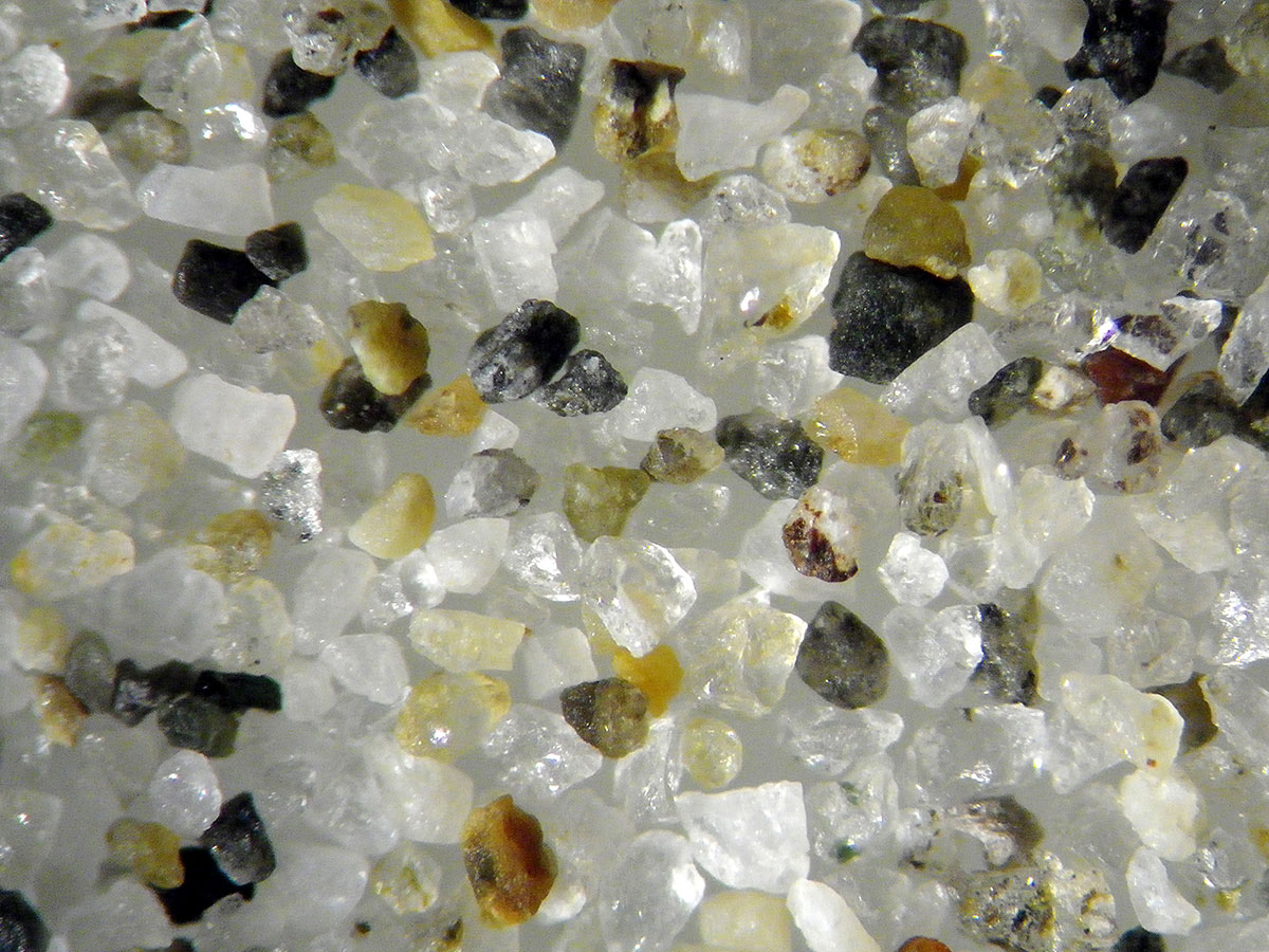 豊橋市自然史博物館