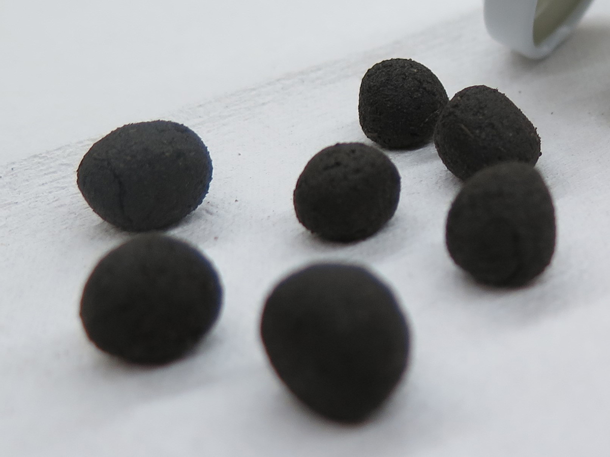 きゃらあふら合