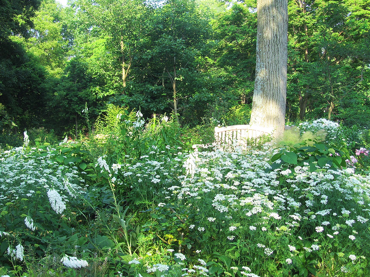 도요하시 종합 동식물 공원(논호이 파크)