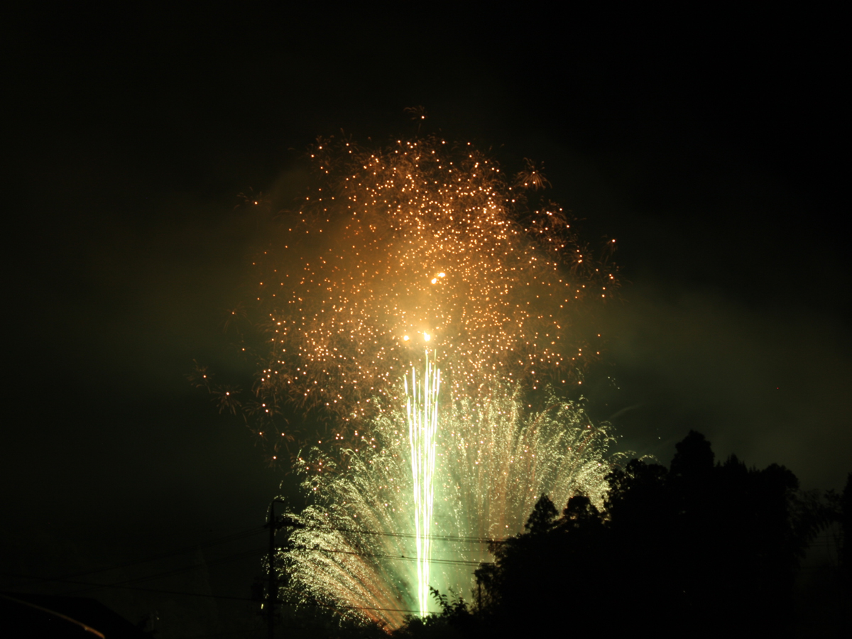 Fujioka Oiden Summer Festival