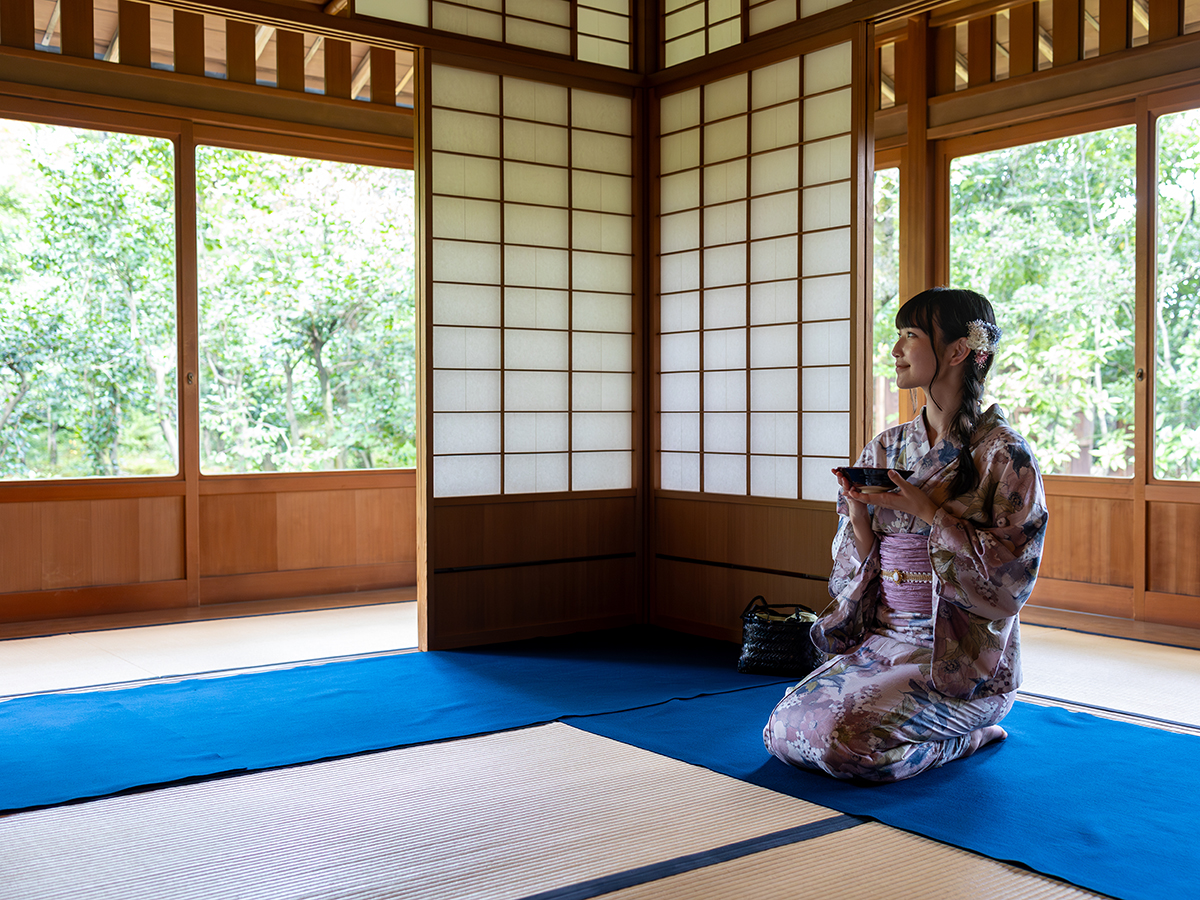 庭园有乐苑／国宝茶室如庵