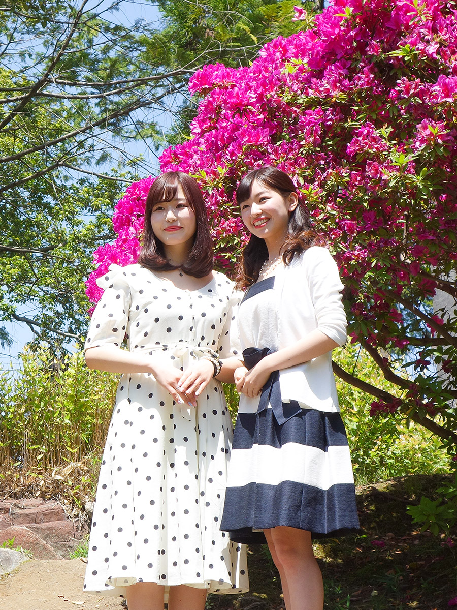 Ichinomiya Azalea Festival