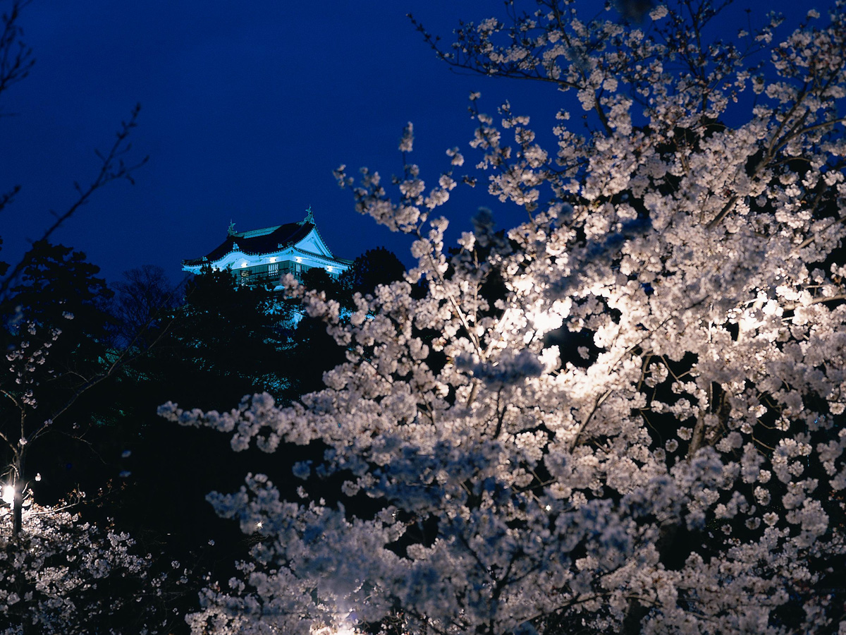 岡崎城・岡崎城公園・三河武士のやかた家康館