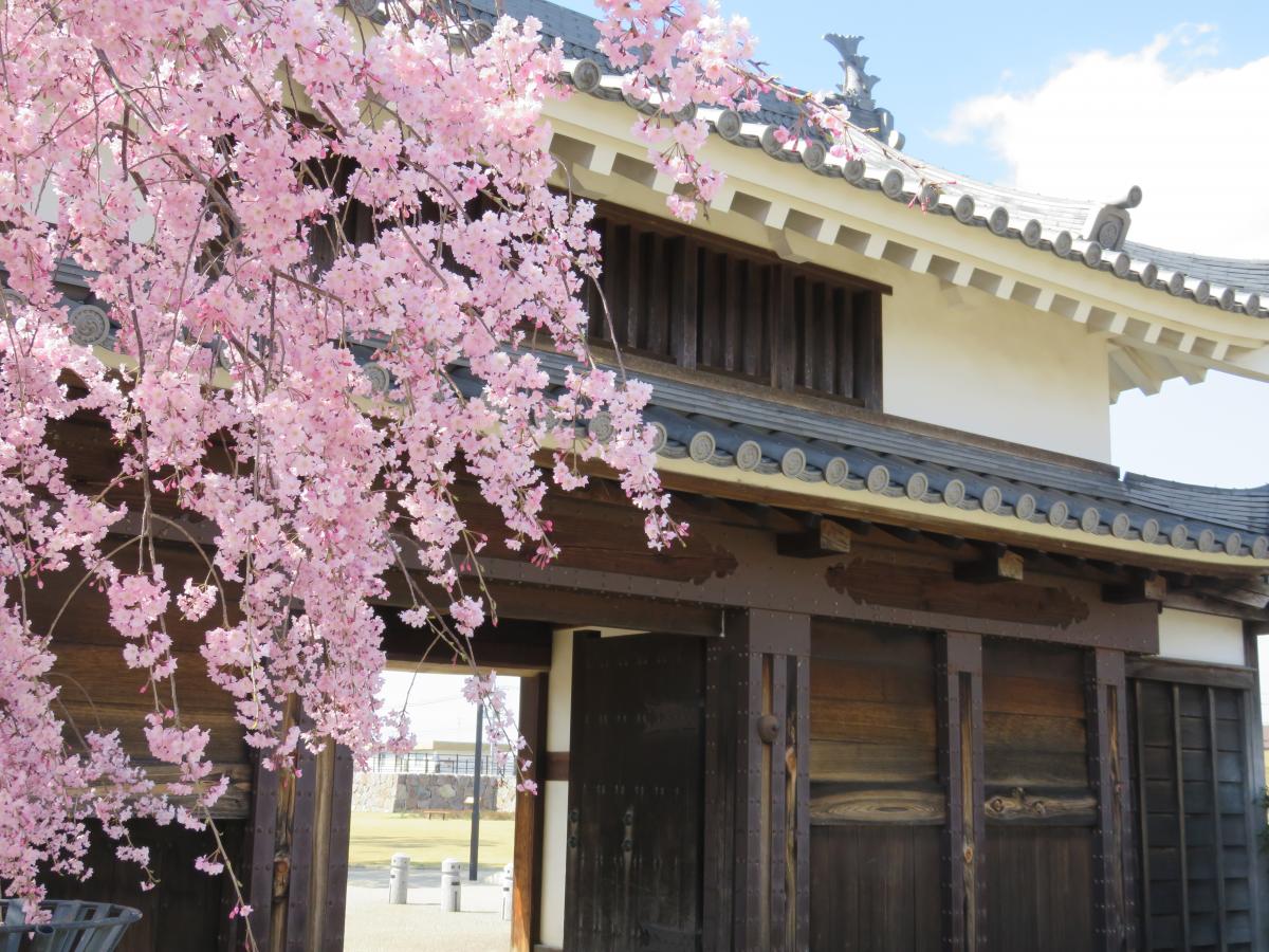 西尾城和旧近卫邸（西尾市历史公园）