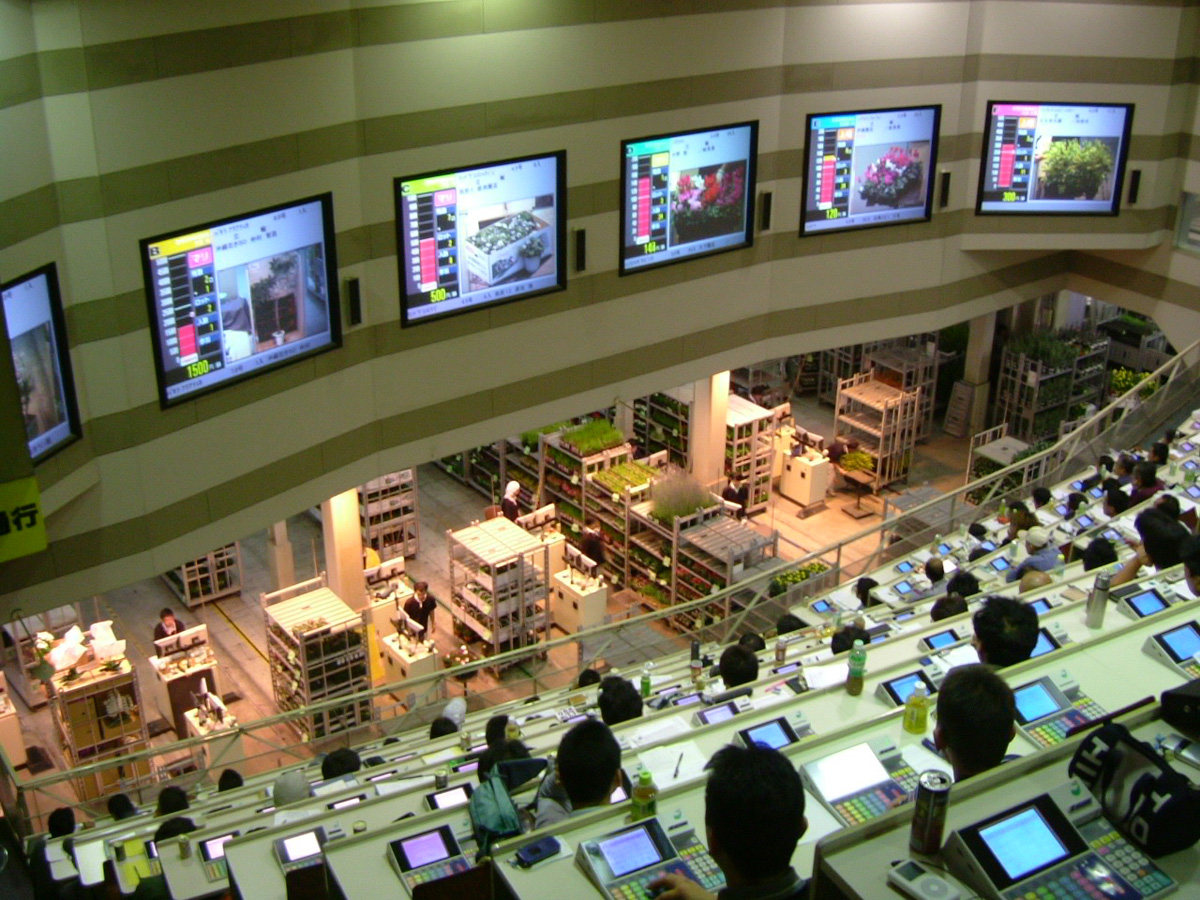 愛知豊明花き地方卸売市場