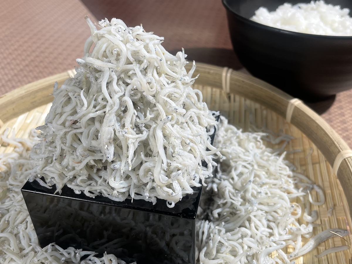 南知多ビーチランド45th　秋のイベント